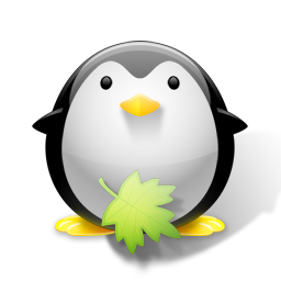 penguin pingouin pinguino 353